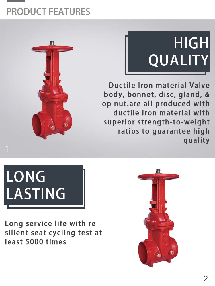 Gate Valve Soft Wedge Ductile Iron Body Flanged/Grooved Fire System
