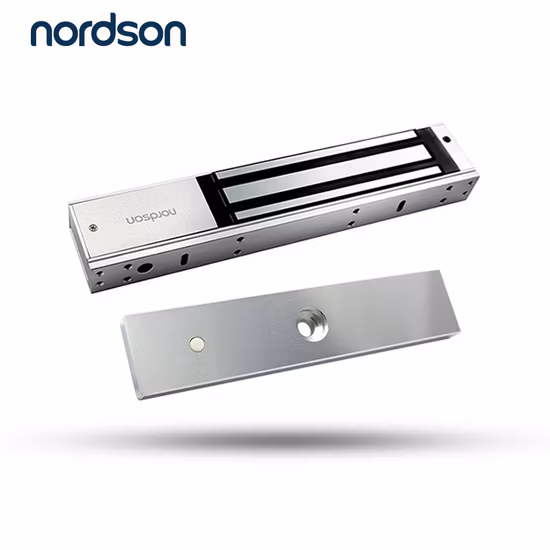 380kg/800lbs DC12V or DC24V Power to Lock Fail